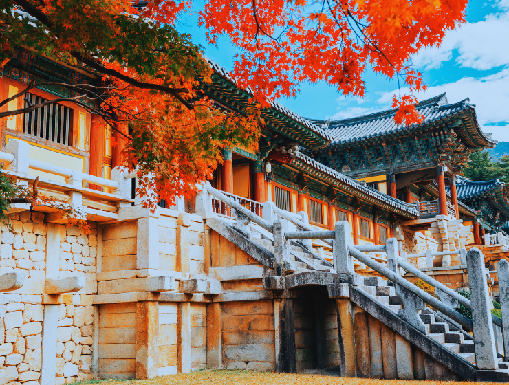 Autumn Holidays in Korea: Ultimate Travel Package